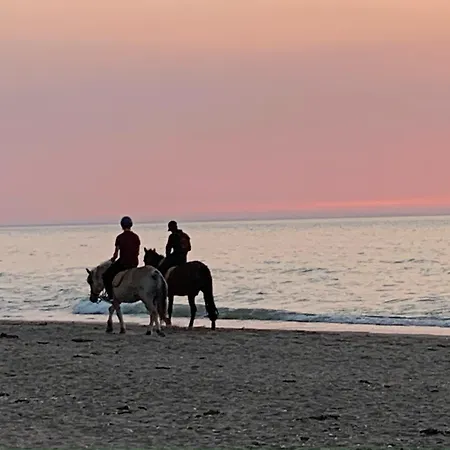 Le Joli Petit Morny Hypercentre *